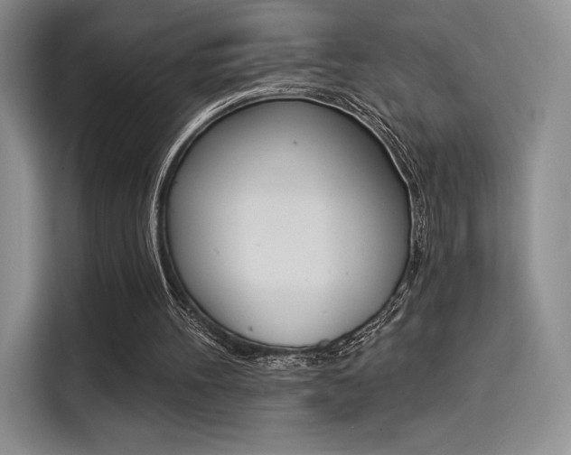 X0000114240100200910161642