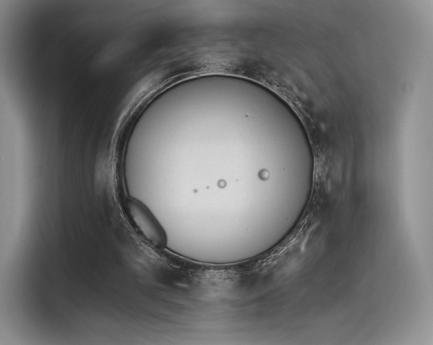 X0000114240101200910161642