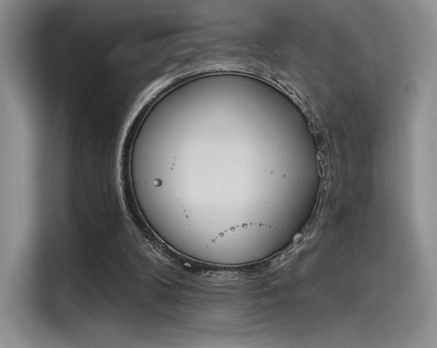 X0000114240104200910161642