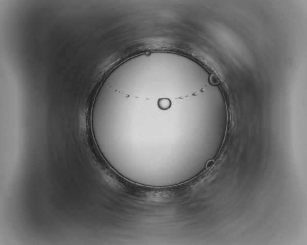 X0000114240105200910161642