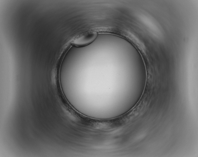 X0000114240107200910161642