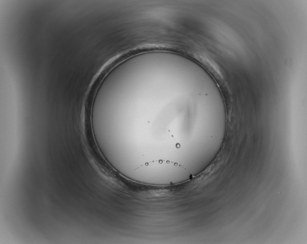 X0000114240108200910161642
