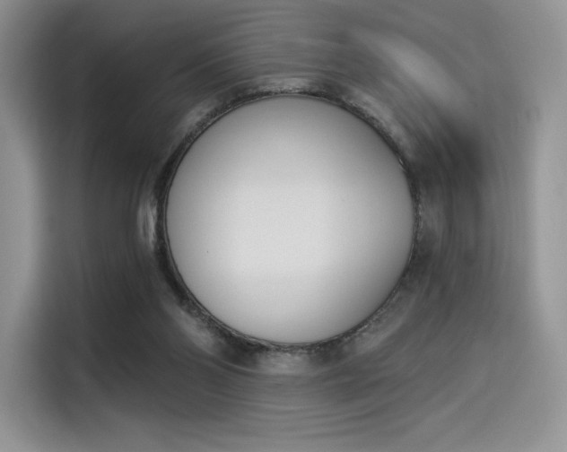 X0000114240110200910161642