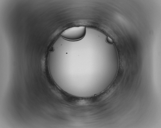 X0000114240111200910161642