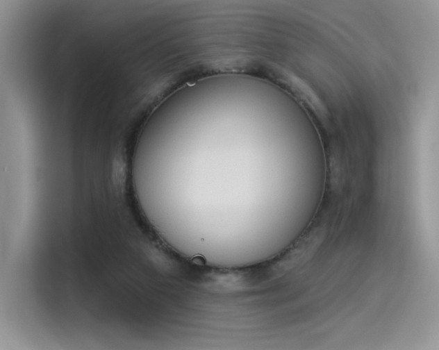X0000114240113200910161642