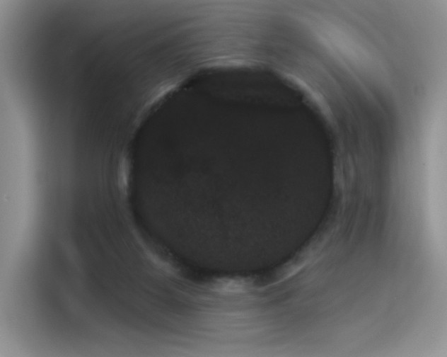 X0000114240115200910161642