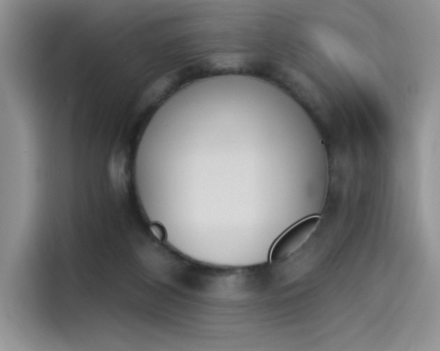 X0000114240116200910161642