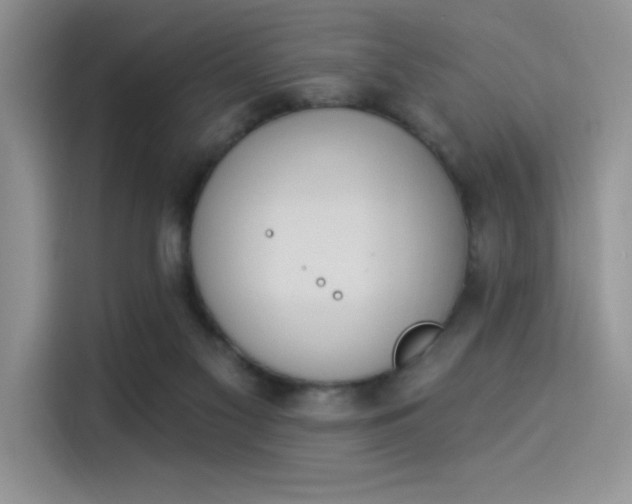 X0000114240117200910161642