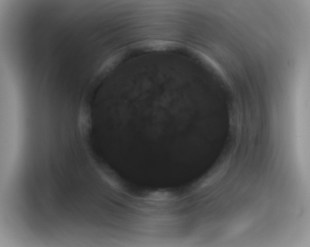 X0000114240119200910161642