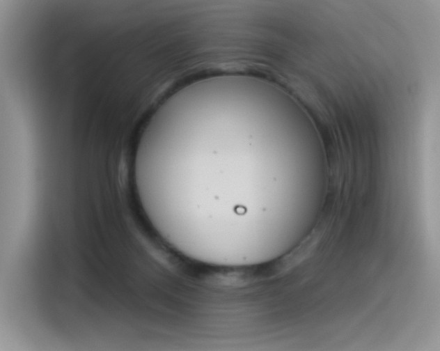 X0000114240120200910161642