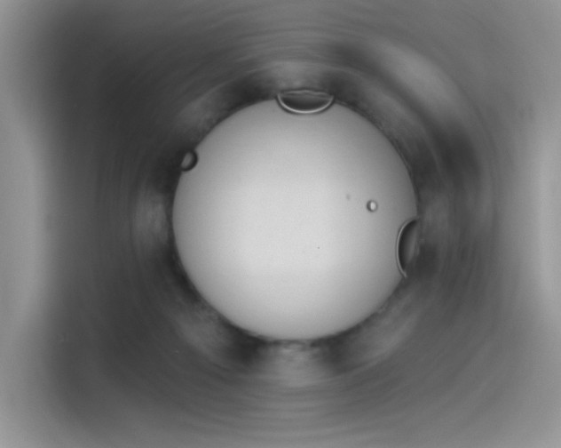 X0000114240121200910161642