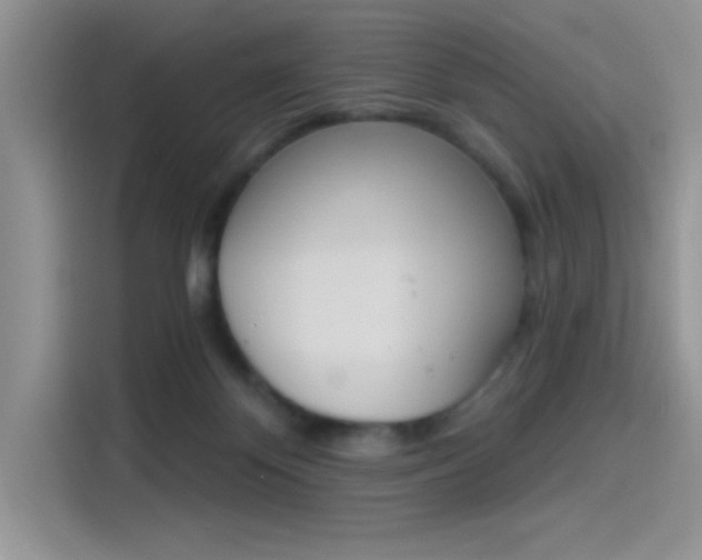 X0000114240124200910161642