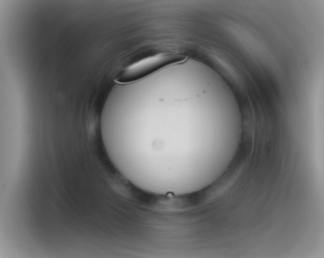 X0000114240125200910161642