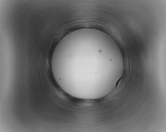 X0000114240128200910161642
