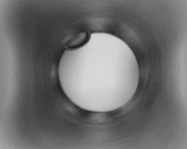 X0000114240132200910161642