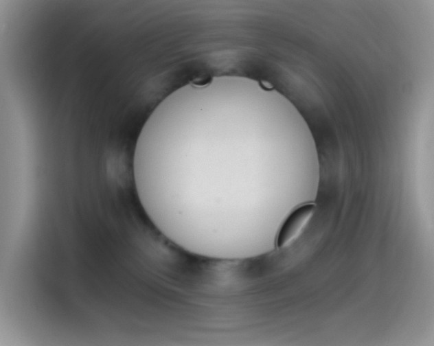 X0000114240136200910161642