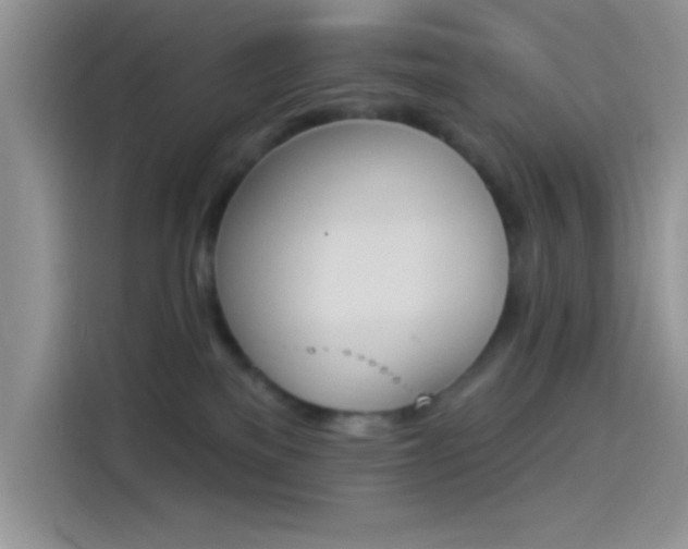 X0000114240137200910161642