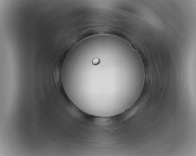 X0000114240139200910161642