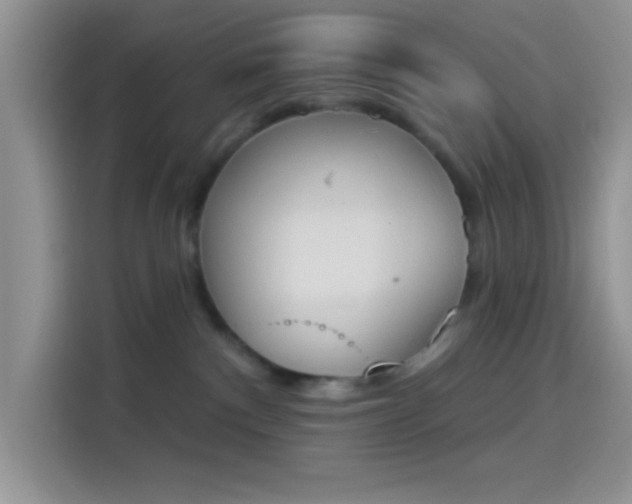 X0000114240140200910161642