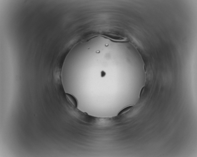X0000114240141200910161642