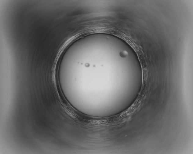 X0000114240147200910161641