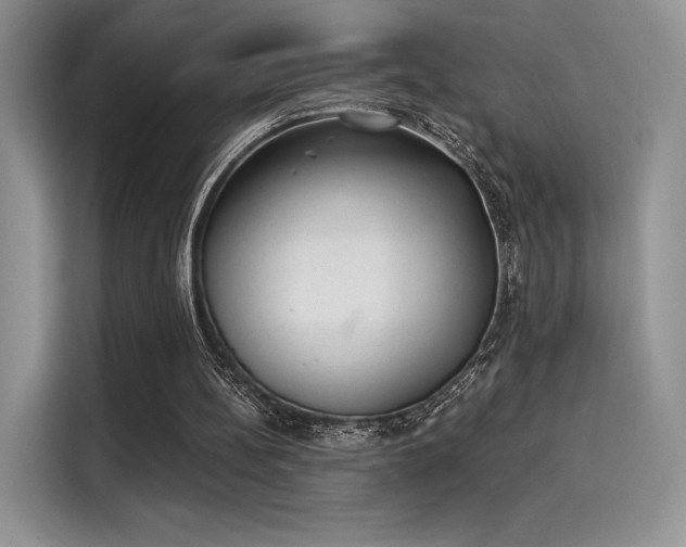 X0000114240148200910161641