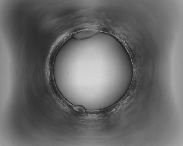 X0000114240149200910161641