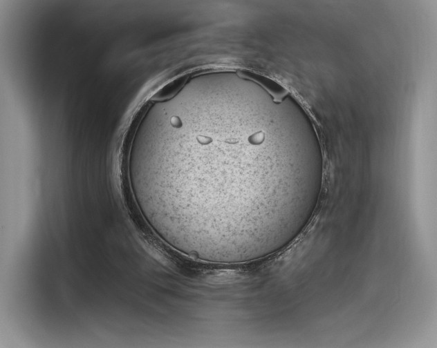 X0000114240151200910161641