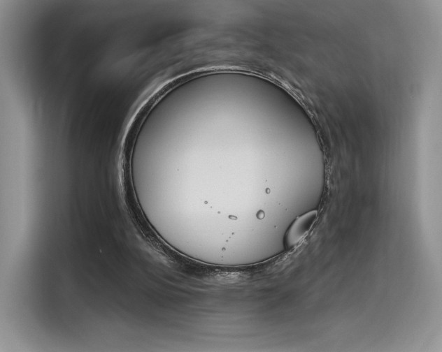 X0000114240152200910161641