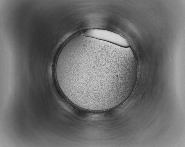 X0000114240155200910161641
