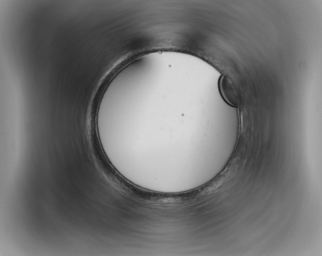 X0000114240156200910161641