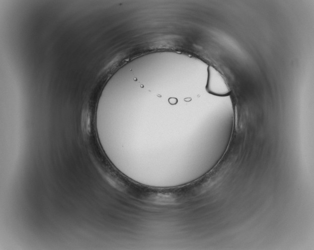 X0000114240157200910161641