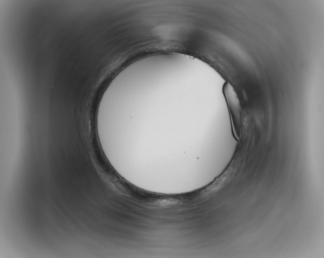X0000114240158200910161641