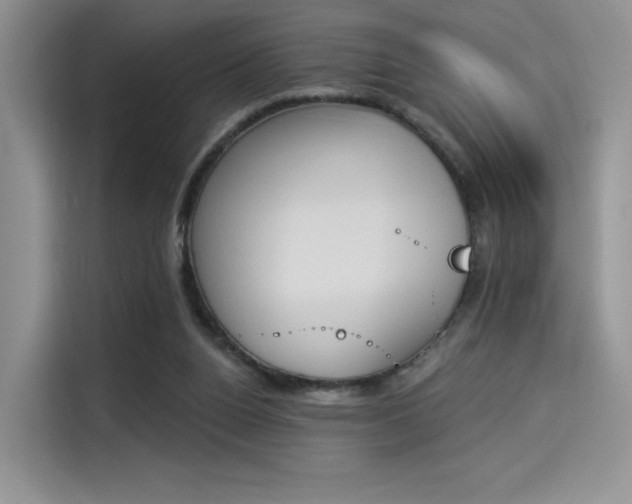 X0000114240160200910161641