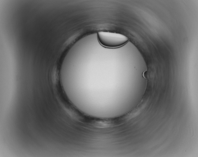 X0000114240164200910161641