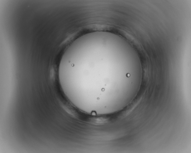 X0000114240165200910161641