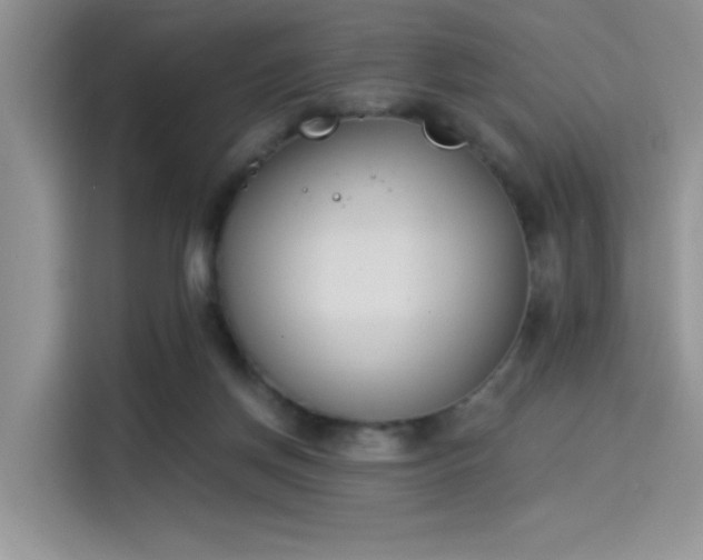 X0000114240166200910161641