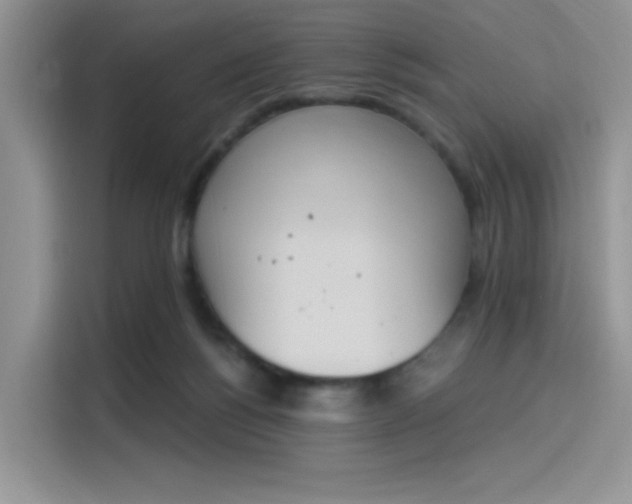 X0000114240168200910161641