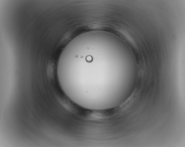 X0000114240171200910161641