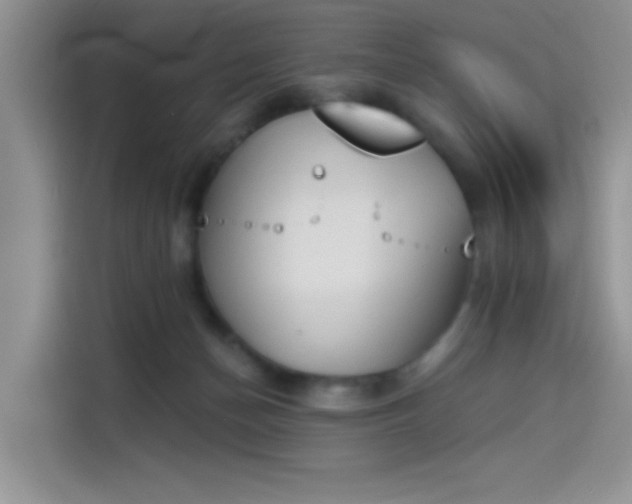 X0000114240174200910161641