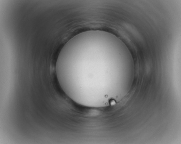 X0000114240176200910161641