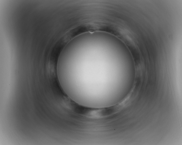 X0000114240178200910161641