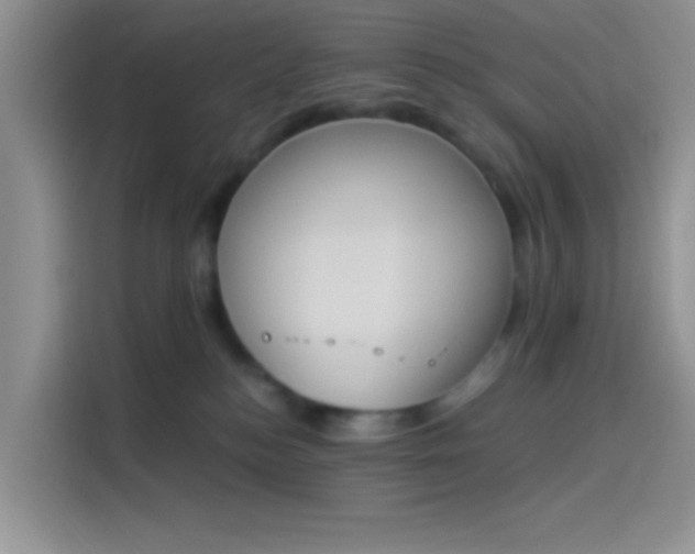 X0000114240184200910161641