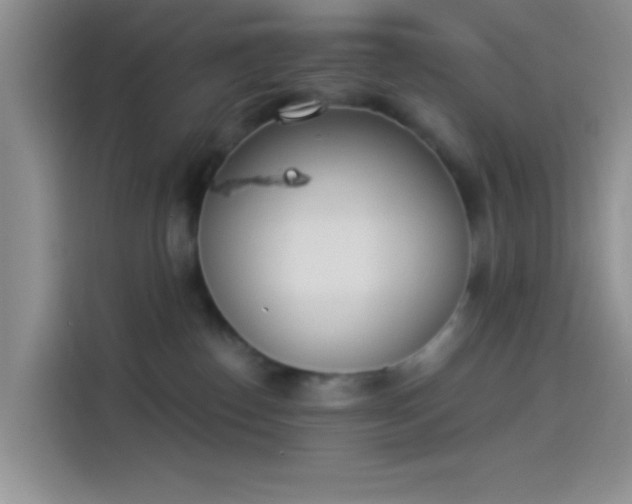 X0000114240186200910161642