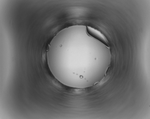 X0000114240188200910161642