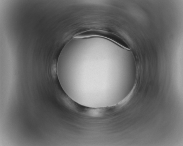 X0000114240190200910161642