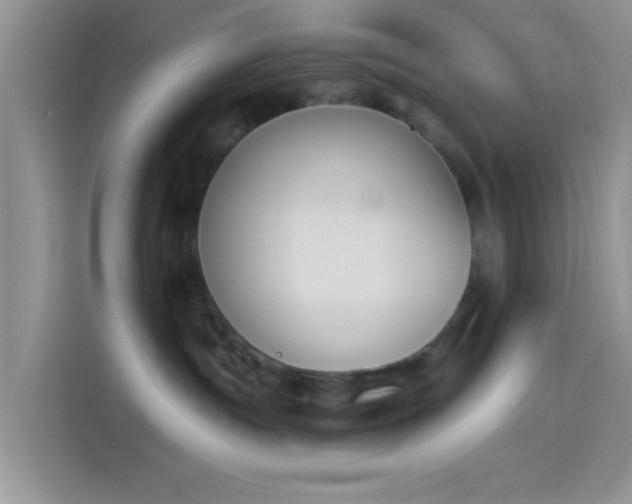 X0000114240191200910161642
