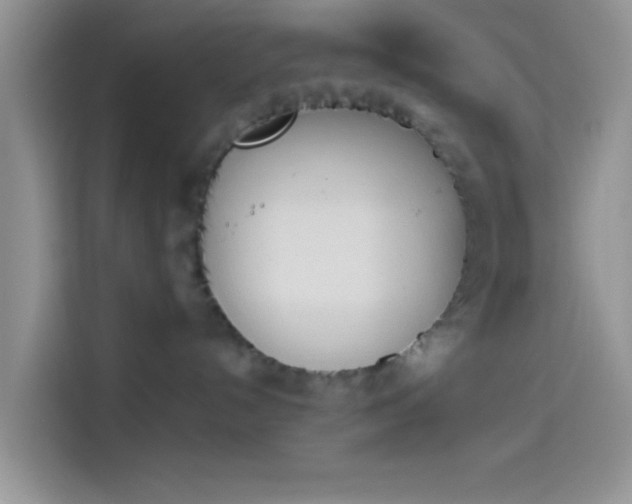 X0000114240192200910161642