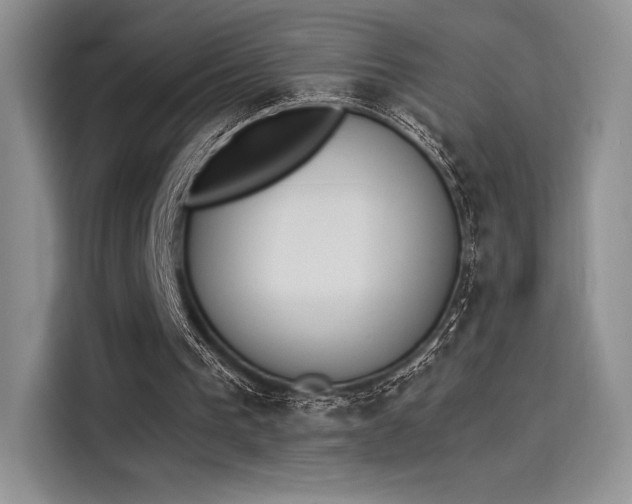 X0000114240193200910161641