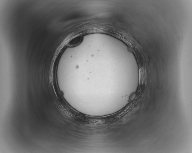 X0000114240195200910161641